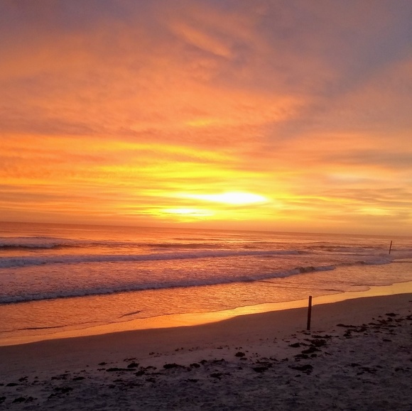 Meet your Posher, Melissa - Picture 1 of 1